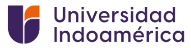 U. Indoamérica (Ecuador)